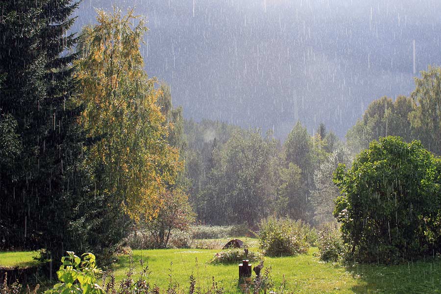 An aerial photo of the sculpture park.